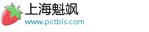 上海魁飒